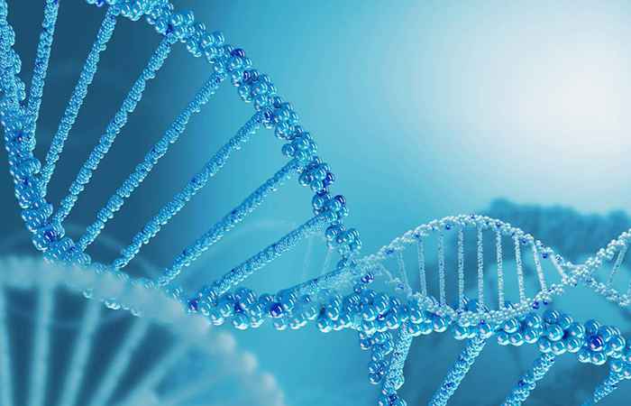 Diagnostic Reagents & Kits